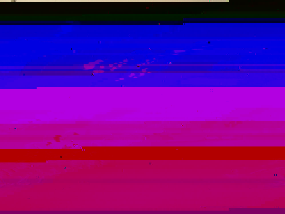 aasag0002.JPG